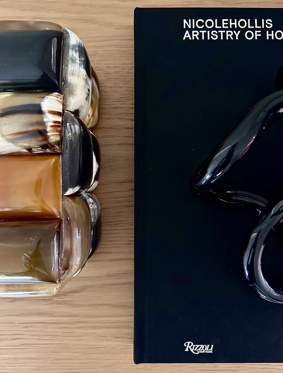 Horn vessel beside Nicole Hollis book flat lay